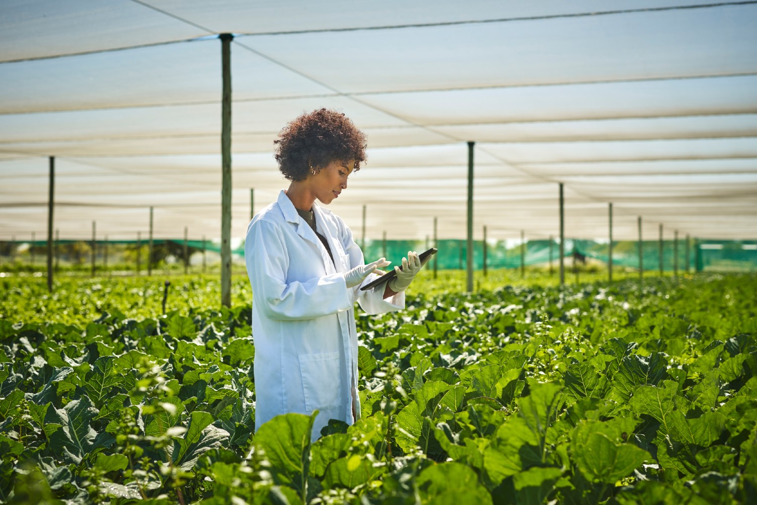 International fellowships to explore AI’s impact on science – UKRI