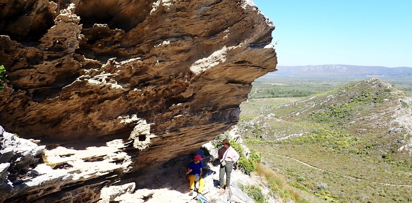 Fossil hunters find tracks of animals from about 3 million years ago – a first in South Africa