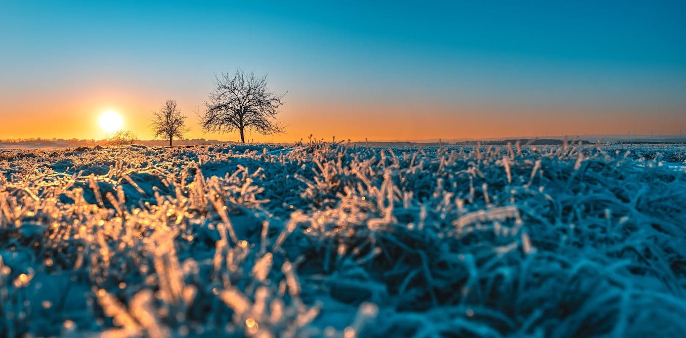 seven tips to entice you outside and dose yourself up with joy