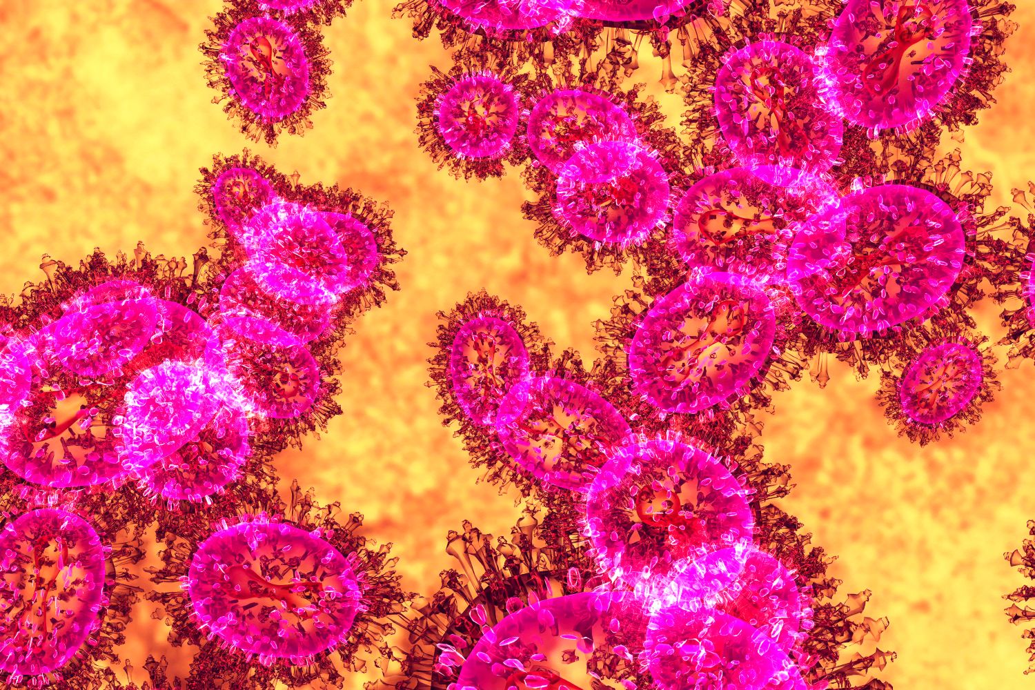 Spiderman cells trap viral genomes in its web – UKRI