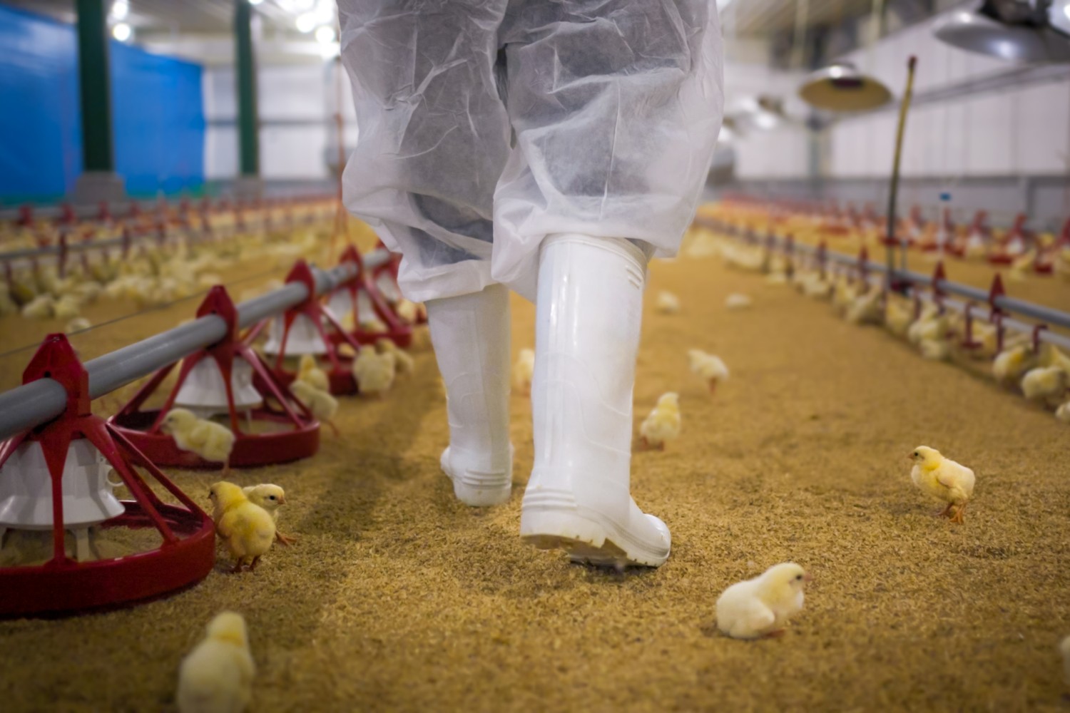 UK government and UKRI invest £54m to tackle biosecurity threats – UKRI